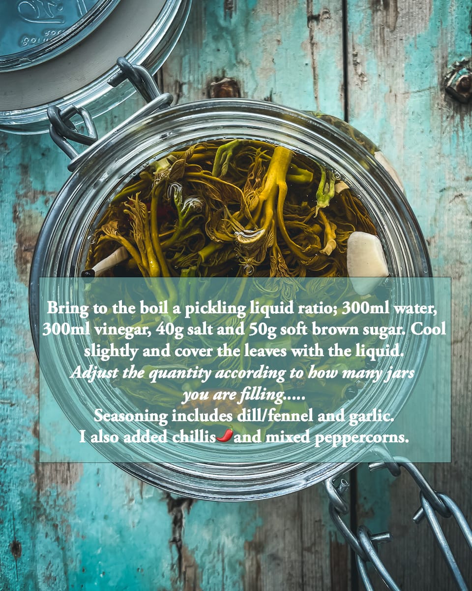 An open Jar of tsitsiravla pickle, ready for tsipouro mezze.