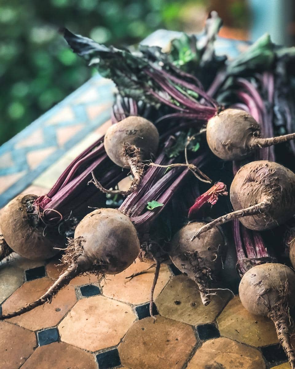 Fresh beetroots with their leaves.