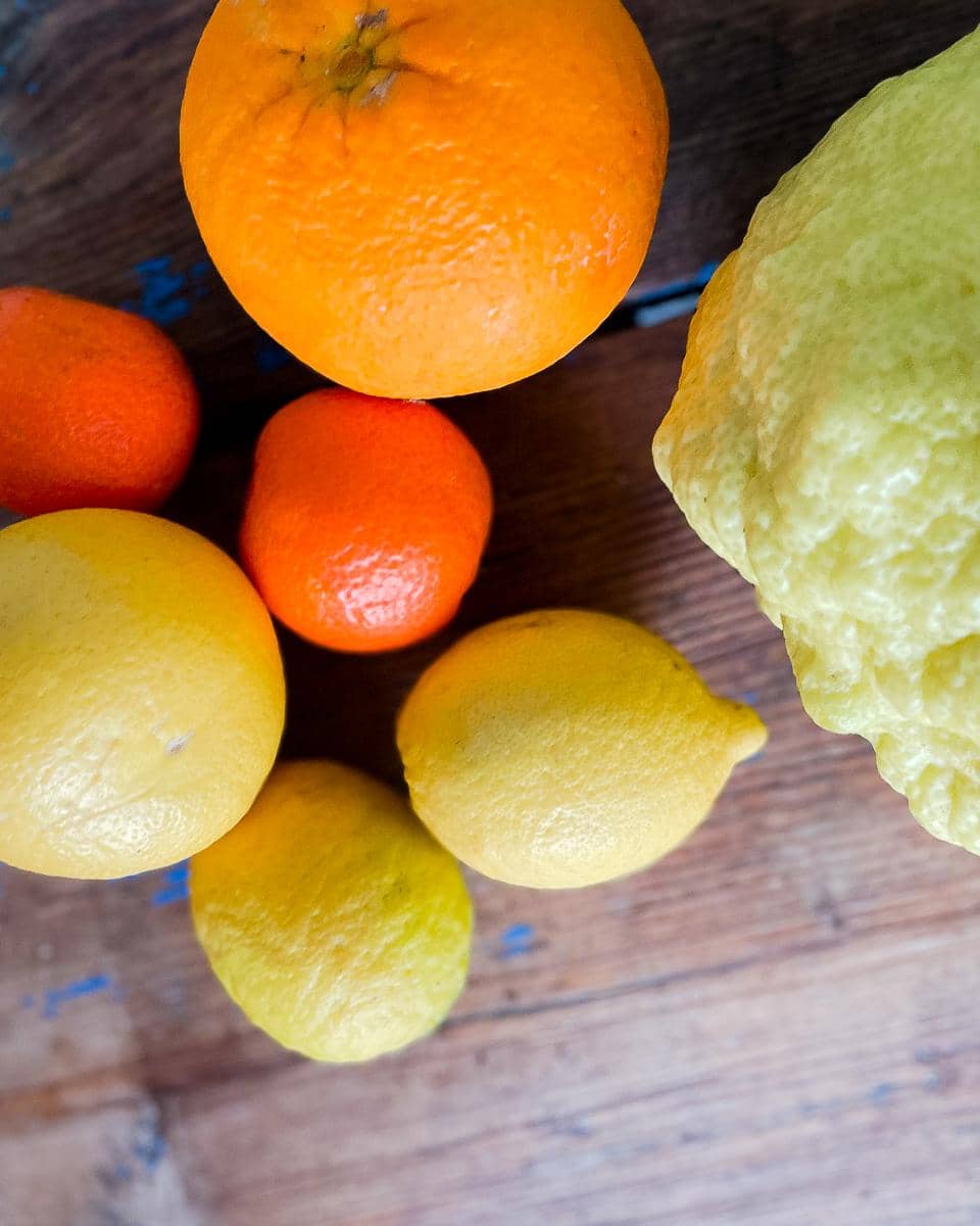 Seasonal citrus fruits; pomelo, tangerines, grapefruit and lemons selected to make a mixed candied peel